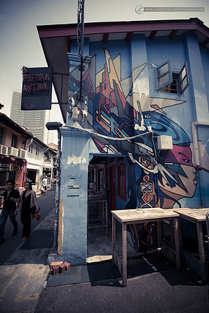 LLO_9181