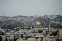 LLO_8545