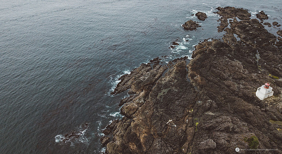 DJI_0181