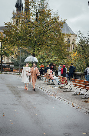 LLP_2977
