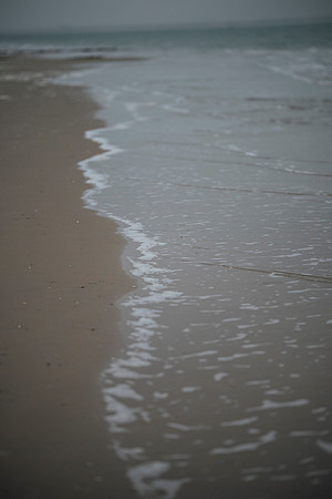 LLO_3948