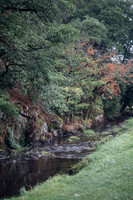 LLP_6114
