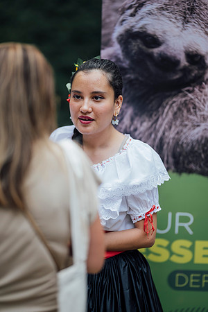 LLP_1243