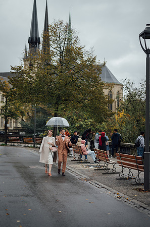 LLP_2978