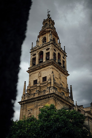 LLP_9440