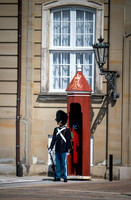 LLP_2911