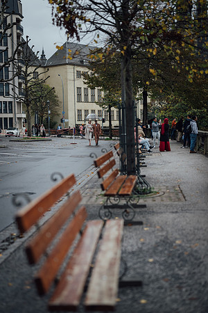 LLP_2973