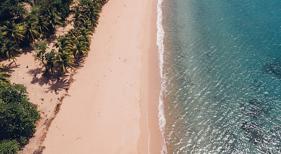 DJI_0221