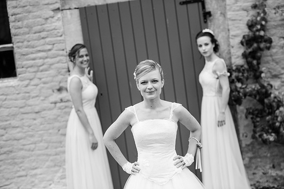 LLP_0393