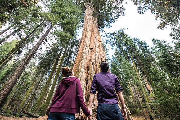 Sequoia National Park, USA