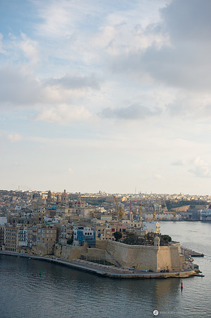 LLP_7059