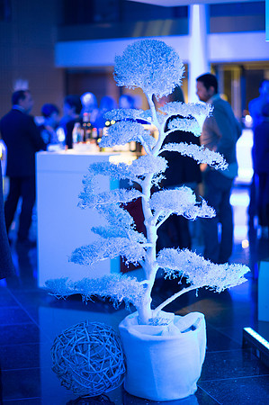 LLP_6994