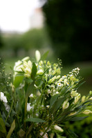 LLP_5646