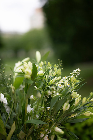 LLP_5646