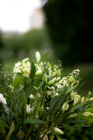 LLP_5647