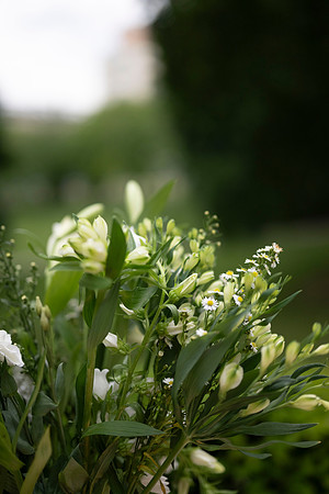 LLP_5647