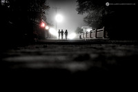 LLO_4305
