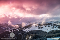 LLO_8828-Modifier