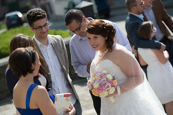 LLP_9013