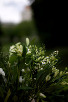 LLP_5648