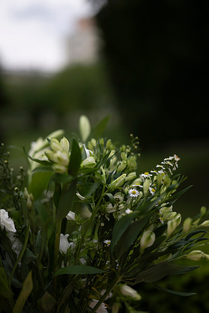 LLP_5648