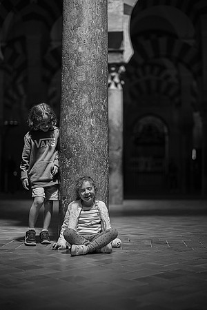 LLP_9333