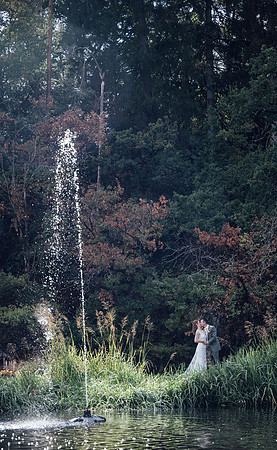 LLP_6335