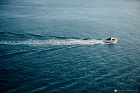 LLP_6800